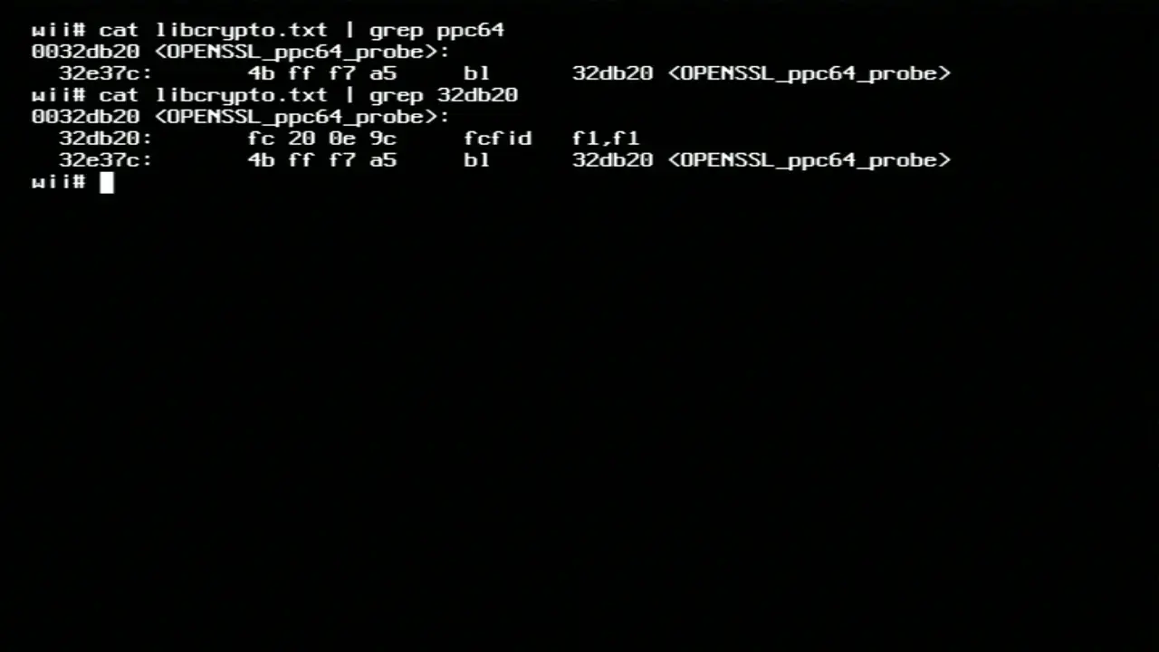 A decompilation showing a fcfid instruction present in the code
